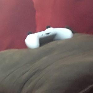 Meet your Posher, Delaney